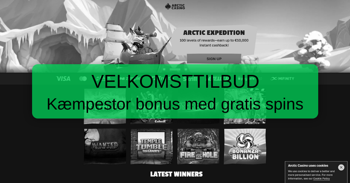 Arctic Casino Online Casino for Danmark